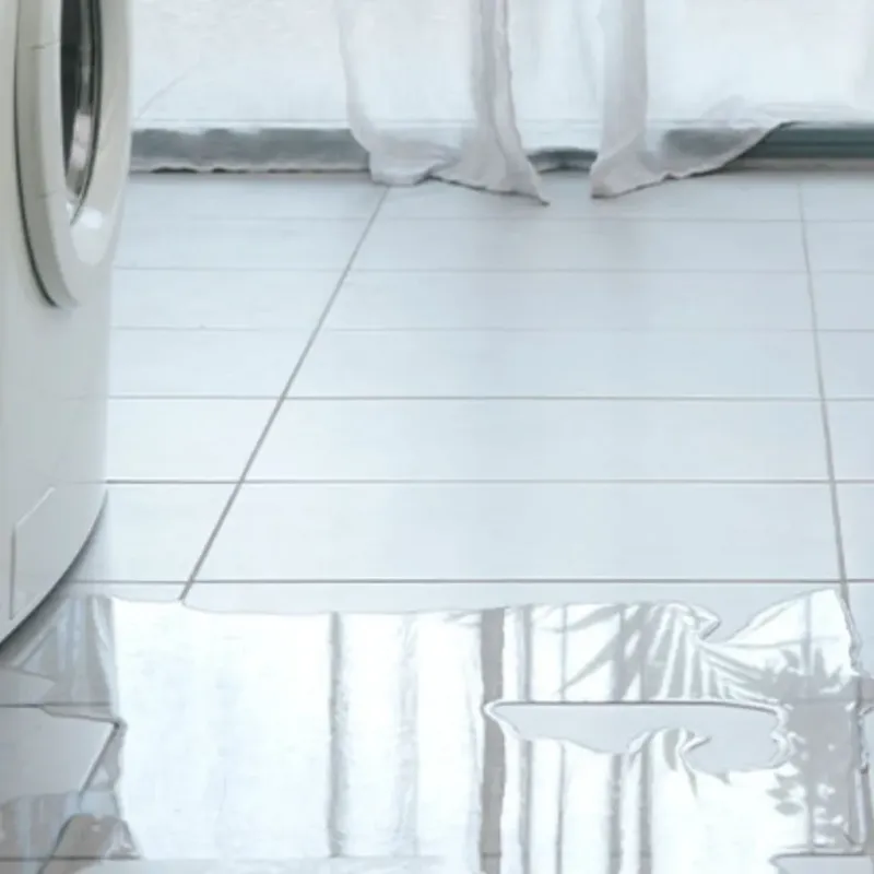 Appliance Leak Cleanup in Dierks, AR